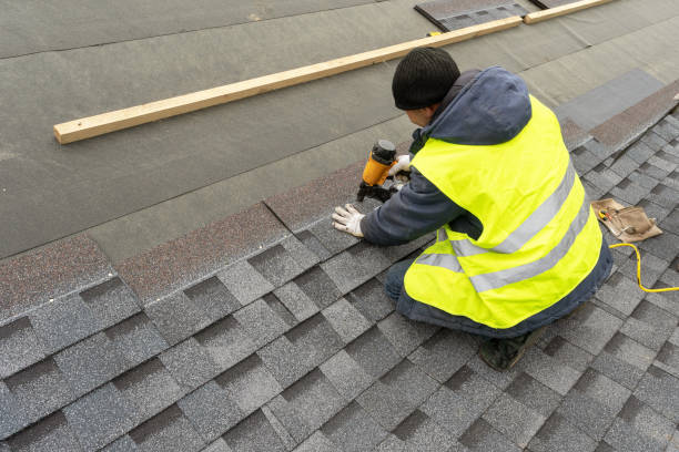 Best Flat Roof Repair Services  in Louisburg, KS