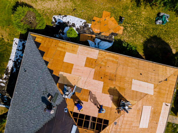 Best Residential Roofing Contractor  in Louisburg, KS