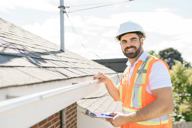 Best Roof Gutter Cleaning  in Louisburg, KS