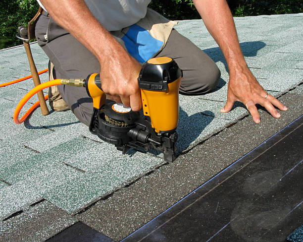 Best Metal Roofing Contractor  in Louisburg, KS