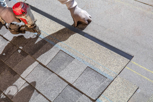 Best Flat Roof Repair Services  in Louisburg, KS