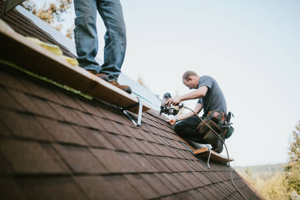 Best Commercial Roof Installation  in Louisburg, KS