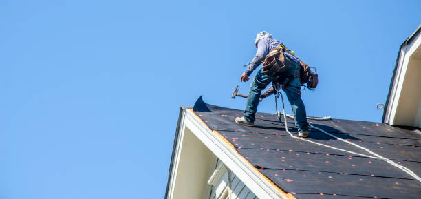 Best Affordable Roofing Company  in Louisburg, KS